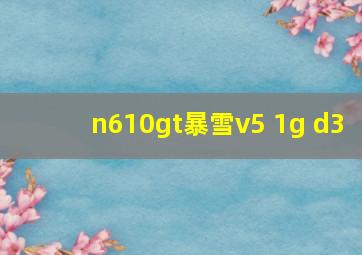 n610gt暴雪v5 1g d3